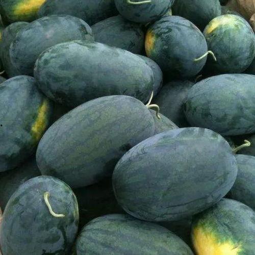 黑瓜吃料焕儿,探寻美食与健康的完美融合