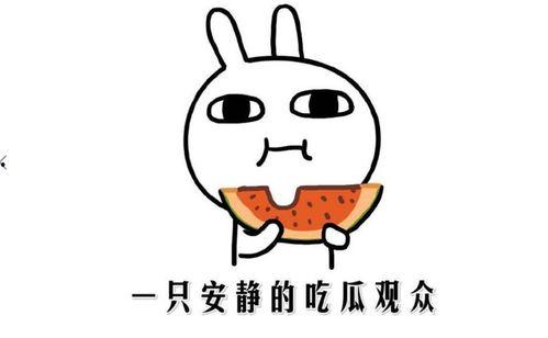 黑料吃瓜啥意思,网络时代下的八卦文化现象